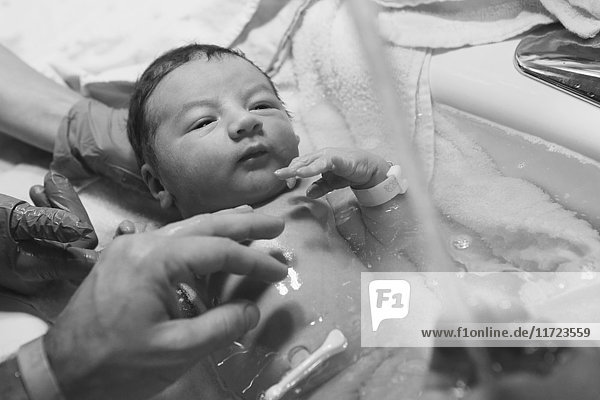 'A nurse and father gives a newborn baby it's first bath; Oregon  United States of America'