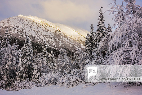 Verschneite Landschaft entlang des Sterling Highway im Winter; Alaska, Vereinigte Staaten von Amerika'.
