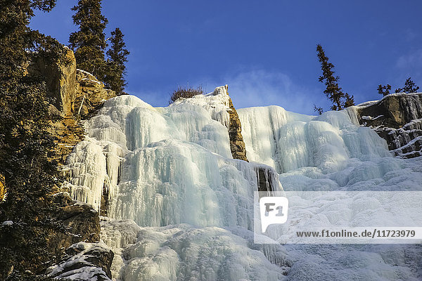 Tangle Falls im Winter  Jasper National Park; Alberta  Kanada'.
