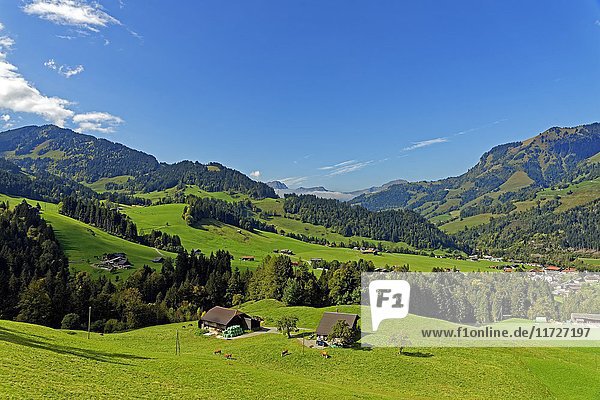 Berglandschaft  Les Moulins  Kanton Waadt  Schweiz  Europa
