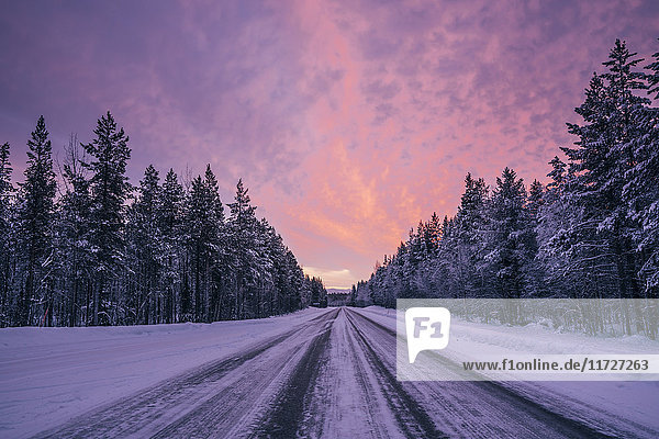 Abgelegene Winterstraße durch schneebedeckte Waldbäume gegen den dramatischen violetten und rosa Himmel  Lappland  Finnland