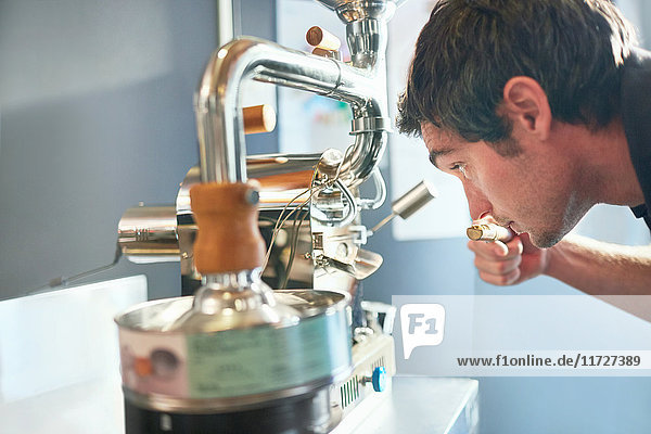 Männlicher Kaffeeröster riecht  testet Kaffee