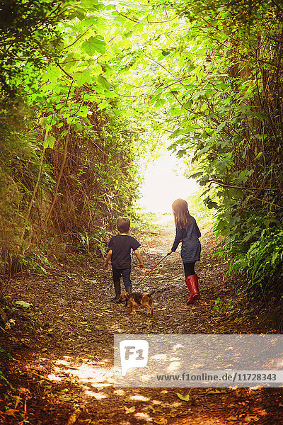 Junge und Mädchen Bruder und Schwester gehen Welpe Hund auf Baum gesäumten Weg