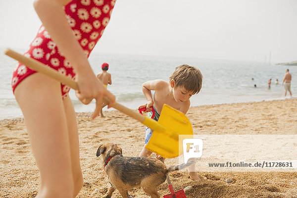 Junge und Mädchen Bruder und Schwester spielen mit Hund und graben in Sand mit Schaufeln am sonnigen Strand