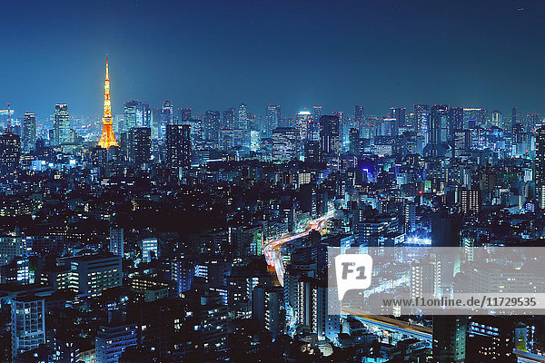 Tokyo cityscape at night  Tokyo  Japan