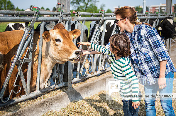 Bäuerin und Junge streicheln Kuh auf Bio-Milchviehbetrieb