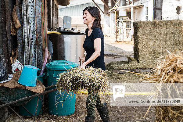 Female organic farmer with pitch fork of hay on dairy farm