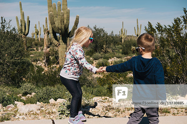 Boy and girl holding hands  Wadell  Arizona  USA