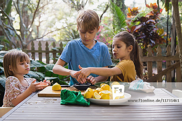Junge und zwei junge Schwestern bereiten am Gartentisch Zitronensaft für Limonade zu