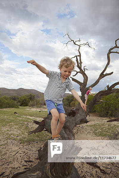 Junge klettert auf toten Baum  Purros  Kaokoland  Namibia