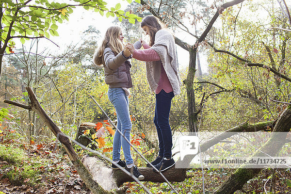 Seitenansicht von Teenager-Mädchen im Wald von Angesicht zu Angesicht  die Hände haltend auf einem umgefallenen Baumstamm balancierend