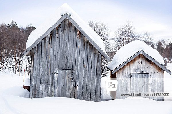 Winter landscape wooden houses Kirkenes North of Norway