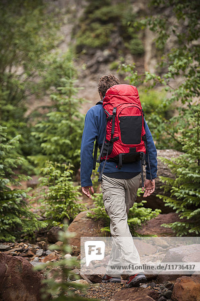 Mann wandert mit rotem Rucksack  San Juan Mountains bei Ouray  Colorado