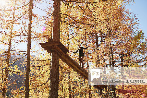 Ältere Frau klettert im Wald  am Hochseil befestigt