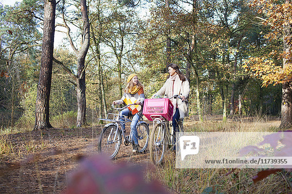 Frontansicht von Teenager-Mädchen  die im Wald spazieren gehen und Fahrräder schieben