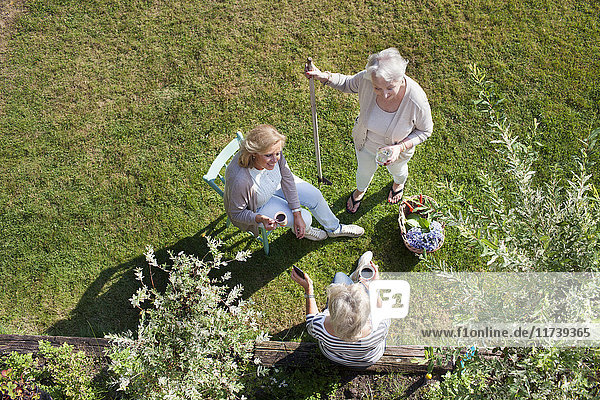 Three women talking together in garden  overhead view