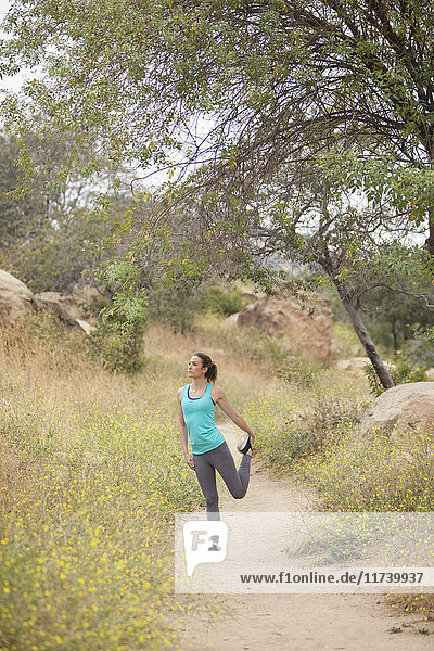 Jogger-Strecken im Park  Stoney Point  Topanga Canyon  Chatsworth  Los Angeles  Kalifornien  USA