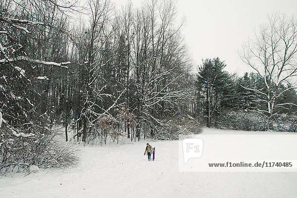 Frau trägt Schlitten im Schnee  Petersburg  Michigan  USA