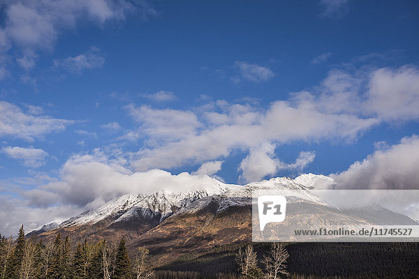 Landscape of Anchorage Alaska USA