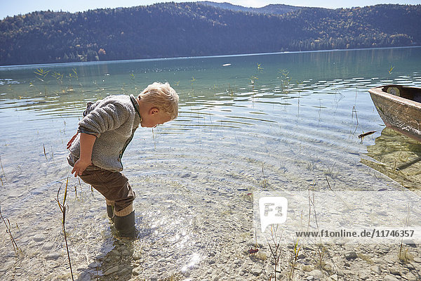 Junge paddelt und schaut auf den See hinunter  Kochel  Bayern  Deutschland