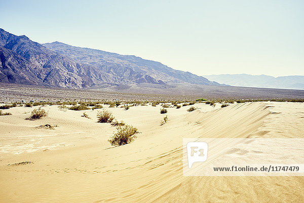 Landschaftsansicht der Mesquite-Dünen  Death Valley  Kalifornien  USA