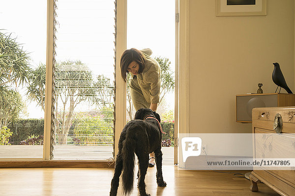 Mittlere erwachsene Frau streichelt Hund im Wohnzimmer