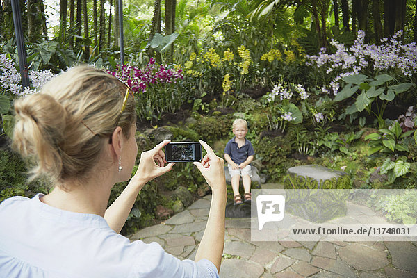 Blick über die Schulter einer Frau  die ihren Sohn auf einem Smartphone im Botanischen Garten in Singapur fotografiert