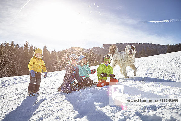 Kinder und Haushund spielen gerne im Schnee