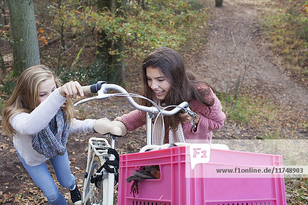 Hochwinkelansicht von Teenager-Mädchen  die lächelnd ein Fahrrad mit einer rosa Kiste in der Hand halten