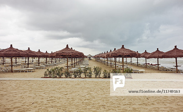 Reihen von Sonnenschirmen und Liegestühlen am Strand  Pescara  Abruzzen  Italien
