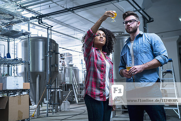 Brauereikollegen halten ein Glas Bier hoch und prüfen die Qualität