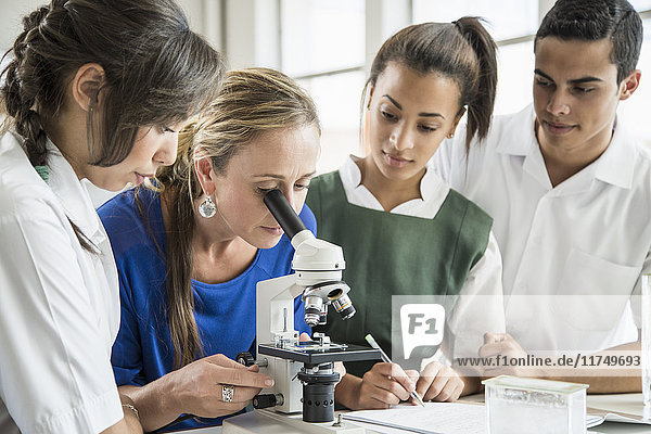 Schülerinnen und Schüler beobachten Lehrer bei der Benutzung des Mikroskops im Labor