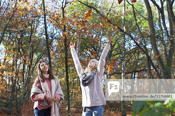 Teenager-Mädchen in Waldarmen erhoben  warfen Herbstblätter und blickten lächelnd auf