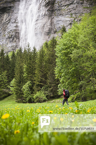 Man hiking  Stechelberg  Bernese Oberland  Switzerland
