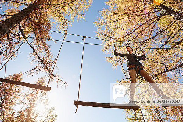 Mature woman climbing in forest  attached to high line rope  low angle view