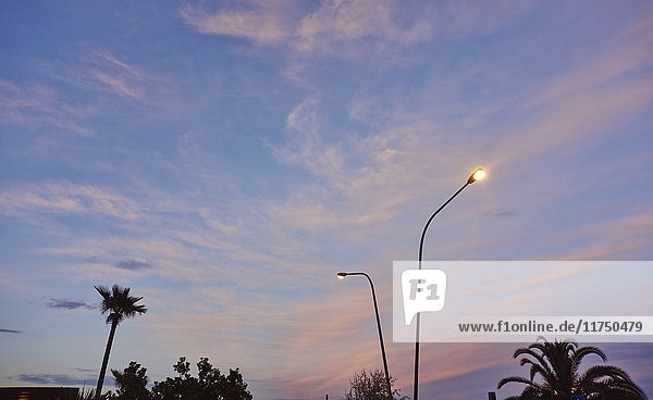 Straßenlaternen und Palmen bei Sonnenuntergang Pescara Abruzzen Italien