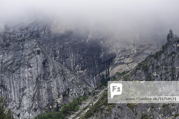 Blick auf schroffe  neblige Berge  Yosemite National Park  Kalifornien  USA