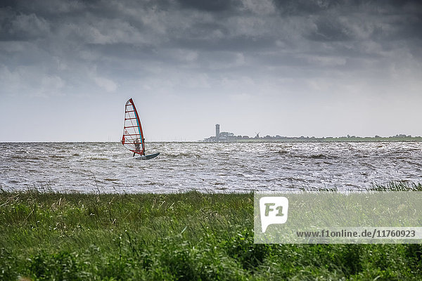 Windsurfer  Husumer Bucht  Kreis Nordfriesland  Schleswig-Holstein  Deutschland  Europa
