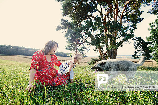 Schwangere Frau sitzt im Feld mit Kleinkind Tochter spielt mit Hund