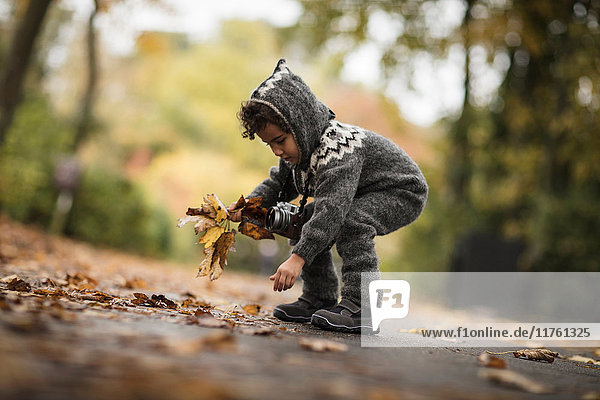 Young girl outdoors wearing knitted suit collecting autumn leaves