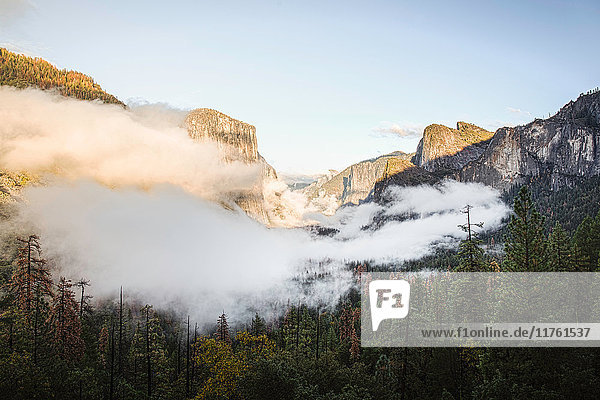 Erhöhte Ansicht des Nebels über dem Talwald  Yosemite National Park  Kalifornien  USA