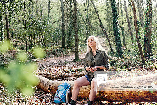 Ältere Backpackerin sitzt auf einem Baumstamm im Wald  Scandicci  Toskana  Italien