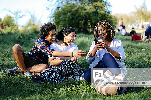 Gruppe von Freunden sitzt im Gras und lacht