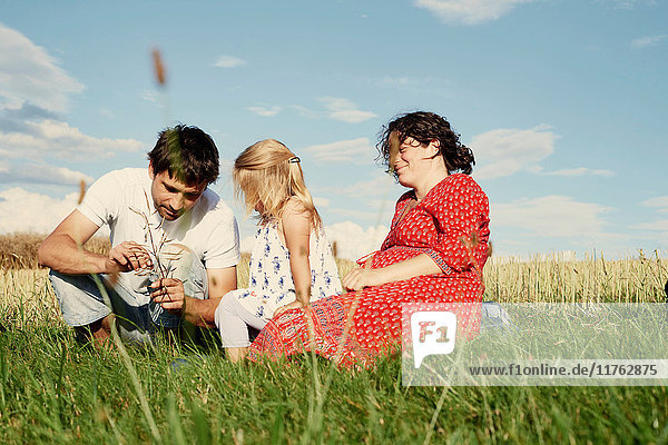Ehepaar sitzt mit Kleinkind auf dem Feld und schaut sich Gräser an