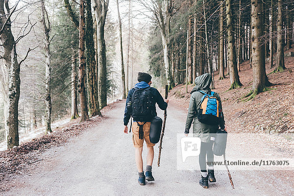 Rückansicht eines Wanderpaares beim Wandern entlang einer Forststraße  Monte San Primo  Italien