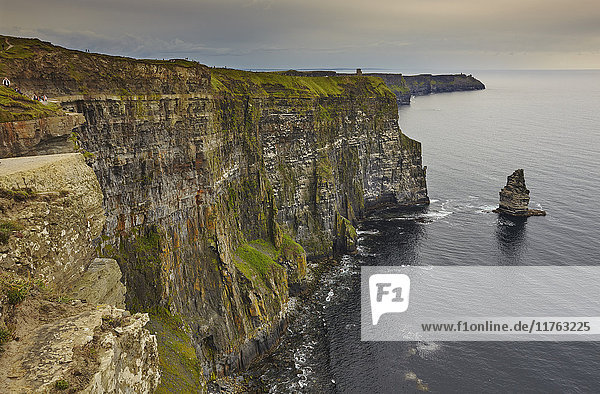 Die Cliffs of Moher  in der Nähe von Lahinch  Grafschaft Clare  Munster  Republik Irland  Europa