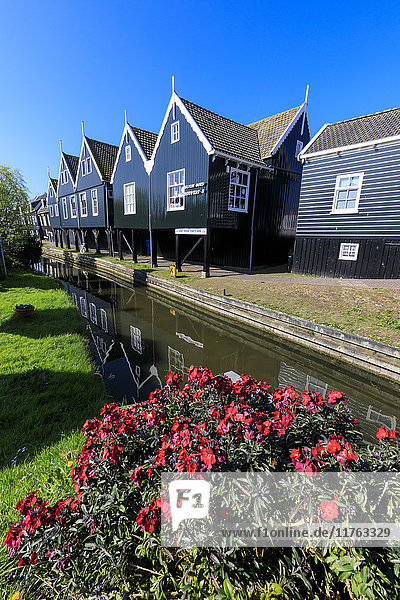 Wooden houses reflected in the canal framed by flowers in the village of Marken  Waterland  North Holland  The Netherlands  Europe