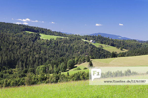Landscape with farmhouse  near Schonwald  Black Forest  Baden Wurttemberg  Germany  Europe