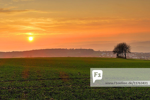 Sunset and field  Rhineland-Palatinate (Rheinland-Pfalz)  Germany  Europe