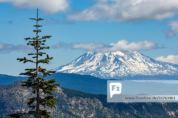 Mount Adams vom Mount St. Helens aus gesehen  Teil der Cascade Range  Region Pazifischer Nordwesten  Bundesstaat Washington  Vereinigte Staaten von Amerika  Nordamerika